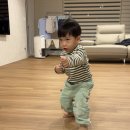 인지 태권도 | 5살 태권도 학원 보내기_안양 아이펀 키즈태권도