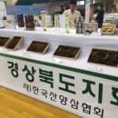 산청산양삼