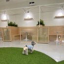 삼성애견 이미지