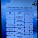 (주)댄싱앤초비엔터테인먼트 | [2025년 2월]중국 하이난 4박 6일_넷째 날