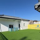 헬로우버디 판교밸리점 | 판교애견유치원 · 판교애견호텔 · 분당애견호텔 헬로우버디 판교밸리점 이용 후기