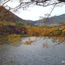 환경생태공원 이미지