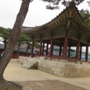 함인정