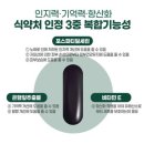 차선식품 | 징코민 효능: 기억력 향상부터 혈액순환까지, 놀라운 효과 총정리