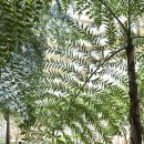 슬림호텔 이미지