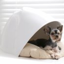 강아지집 이미지