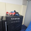 팀헐크레슬링 이미지