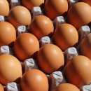 이화농장 이미지