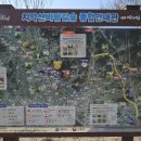 한라비발디 이팝나무 이미지