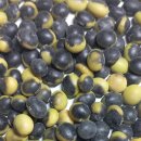 선비로1L 이미지