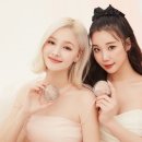 투쿨포스쿨 일간스포츠