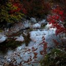 조무락계곡 이미지