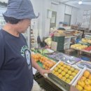 사기소2통 이미지