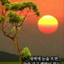 열정 이미지