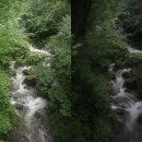 교정동우회 | 오대산 선재길(24. 7.24) 트레킹