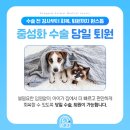 하나동물의료센터 이미지