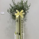 경희김앤안한의원 이미지