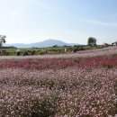 이평리 정한약국 이미지