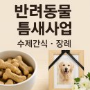반려동물 수제간식창업 이미지