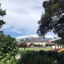 하효소머리국밥 이미지