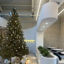 번패티번강릉 이미지