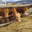 봉화모텔 이미지