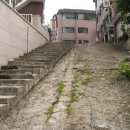 고돌이네 이미지