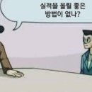 삼묘조