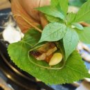 윤희네농장 이미지