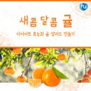 샐러드베이 이미지