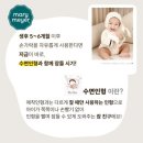 메리베어 이미지