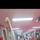 용인대 마루한 태권도 이미지