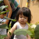 혜인농장 이미지