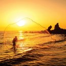 대부낙조 이미지