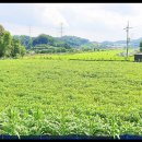 전방마을 이미지