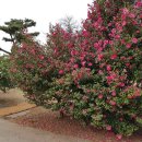 이렇게 좋은날 이미지