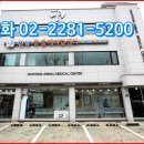한양동물메디컬센터 네이버블로그