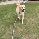 다우리유치원 이미지