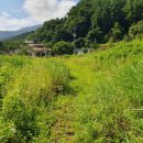 조은터부동산중개사무소 이미지