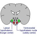 참맑은한의원 이미지