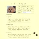 몽프리제 | [#1068] 몽(양측 슬개골탈구 G3)의 수술후기
