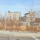 라이온공인중개사사무소 이미지