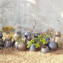 동강중학교 이미지