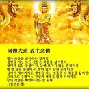 자비무적 이미지