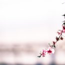 마곡하나공인중개사사무소 이미지