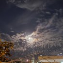 모전공원(풋살장) 네이버블로그