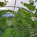 더나농장 이미지