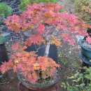 놀부농장 이미지