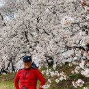 동남산 화장실 네이버블로그
