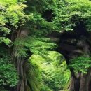 광주무등교회 이미지